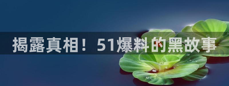 揭露真相！51爆料的黑故事